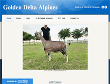 Tablet Screenshot of goldendeltaalpines.weebly.com