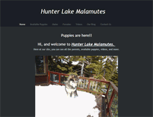 Tablet Screenshot of hunterlakemalamutes.weebly.com