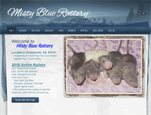 Tablet Screenshot of mistyblue.weebly.com