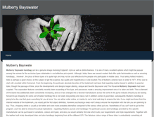 Tablet Screenshot of mulberrybayswater.weebly.com