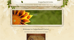 Desktop Screenshot of copperbeechcavies.weebly.com