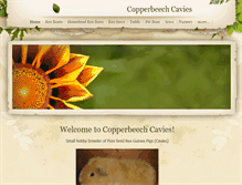 Tablet Screenshot of copperbeechcavies.weebly.com