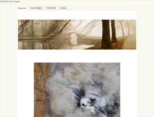 Tablet Screenshot of hollandaloptavsani.weebly.com