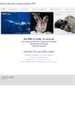 Mobile Screenshot of animalcommunicationupr.weebly.com