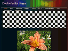 Tablet Screenshot of double-yolkerfarms.weebly.com