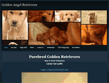 Tablet Screenshot of goldenangelretrievers.weebly.com