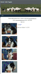 Mobile Screenshot of bcpuppies.weebly.com