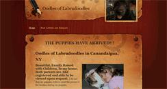 Desktop Screenshot of 4labradoodles.weebly.com