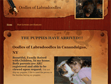 Tablet Screenshot of 4labradoodles.weebly.com