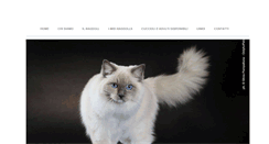 Desktop Screenshot of preciousdollsragdolls.weebly.com