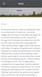 Mobile Screenshot of bellabordercollie.weebly.com