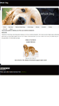 Mobile Screenshot of findyourdog.weebly.com