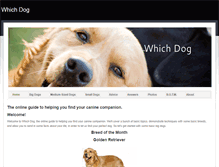 Tablet Screenshot of findyourdog.weebly.com