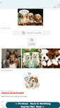 Mobile Screenshot of lovingyourdog.weebly.com