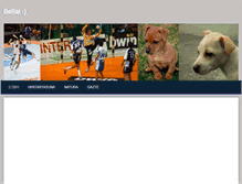 Tablet Screenshot of larrabi.weebly.com
