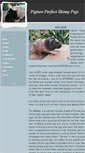Mobile Screenshot of pigtureperfect.weebly.com