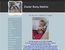 Tablet Screenshot of exeter-bunny-rabbits.weebly.com