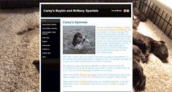 Desktop Screenshot of careysboykinandbrittanyspaniels.weebly.com