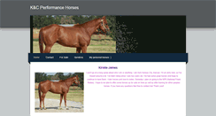 Desktop Screenshot of flyandperryperformancehorses.weebly.com