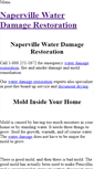 Mobile Screenshot of napervillewaterdamage.weebly.com