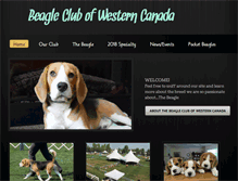 Tablet Screenshot of beagleclubofwesterncanada.weebly.com
