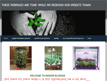 Tablet Screenshot of indoorblossom.weebly.com
