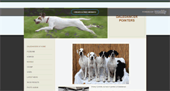 Desktop Screenshot of fizzywiggle.weebly.com