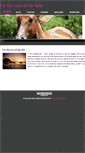 Mobile Screenshot of fortheloveoftheride.weebly.com