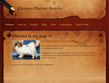 Tablet Screenshot of kilemar.weebly.com