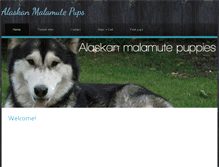 Tablet Screenshot of alaskanmalamutepups.weebly.com