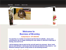 Tablet Screenshot of bunniesofbromley.weebly.com