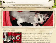 Tablet Screenshot of epicgliders.weebly.com