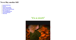 Desktop Screenshot of cinchi-ez-bib.weebly.com