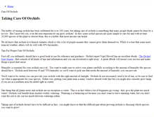 Tablet Screenshot of careoforchids.weebly.com