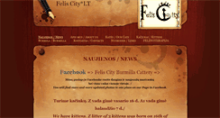 Desktop Screenshot of feliscity.weebly.com