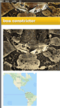 Mobile Screenshot of boaconstrictor.weebly.com