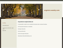 Tablet Screenshot of angolora.weebly.com