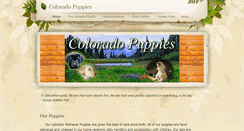 Desktop Screenshot of coloradopuppies.weebly.com