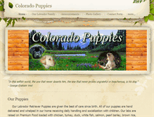 Tablet Screenshot of coloradopuppies.weebly.com