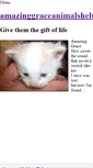 Mobile Screenshot of amazinggraceanimalshelter.weebly.com