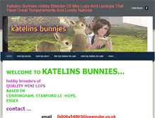 Tablet Screenshot of katelinsbunnies.weebly.com