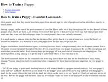 Tablet Screenshot of howtotrainapuppy.weebly.com