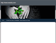 Tablet Screenshot of anielimbe1.weebly.com