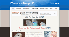Desktop Screenshot of budgies101.weebly.com