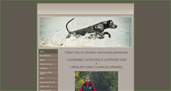 Desktop Screenshot of andyskiss.weebly.com