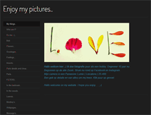 Tablet Screenshot of enjoymythings.weebly.com