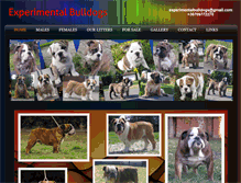 Tablet Screenshot of experimentalbulldogs.weebly.com