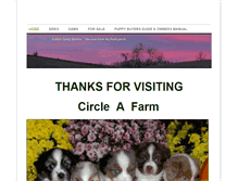 Tablet Screenshot of circleafarmaussiesandmore.weebly.com