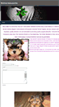 Mobile Screenshot of martinezteacupyorkie.weebly.com