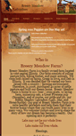 Mobile Screenshot of breezymeadowlabradors.weebly.com